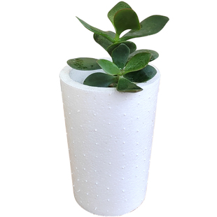 长条种花盆泡沫箱子 楼顶阳台专用D大花盆 家庭室内种菜神器省空