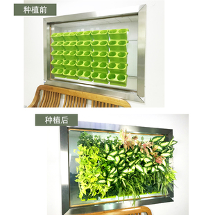 阳台壁挂花盆免打孔室内外u绿萝植物墙种植盒挂墙花盆垂直立体绿