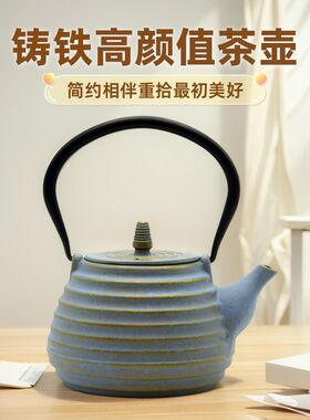 日式手工c铁壶搪瓷涂层铸铁壶复古泡茶壶外贸彩色生铁壶烧水煮茶