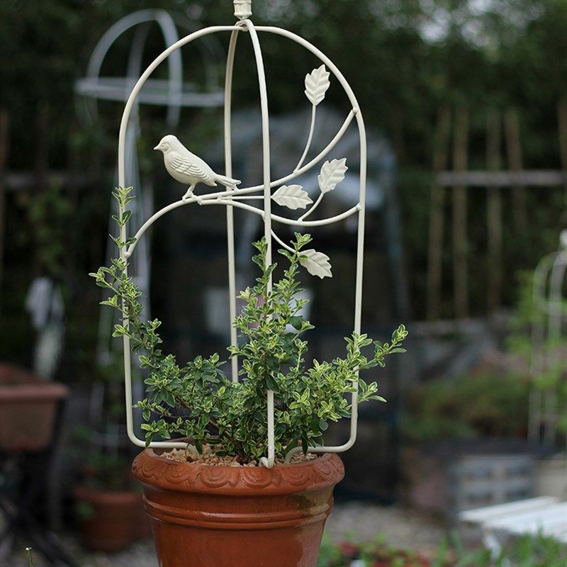 铁艺折叠鸟d笼爬藤架阳台装饰花架复古室内庭院花园装饰支架带专,鲜花速递/花卉仿真/绿植园艺,花架,淘宝优惠券,粉丝福利购,淘宝优惠卷