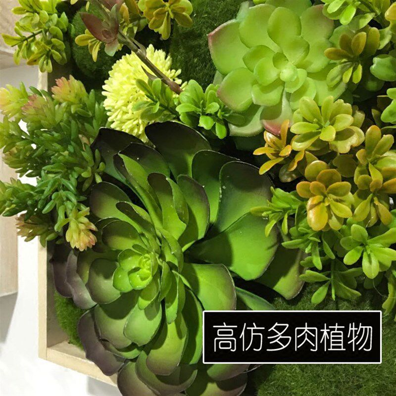 仿真多肉b植物壁挂欧式立体墙饰装饰品创意绿植相框酒吧咖啡店挂