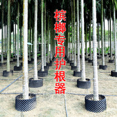 槟榔树专用护根器 果树树苗阻根板加厚围树板控根器 黑色塑料围板