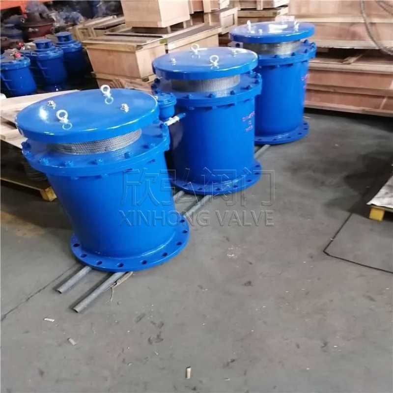 全压高速排气阀QSP 快速防水锤球墨铸铁不锈钢 欣弘阀门