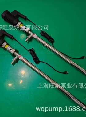 上海旺泉HD-EX2-V+SS316L-1000HV250-VT高粘度插桶泵、螺杆插桶泵