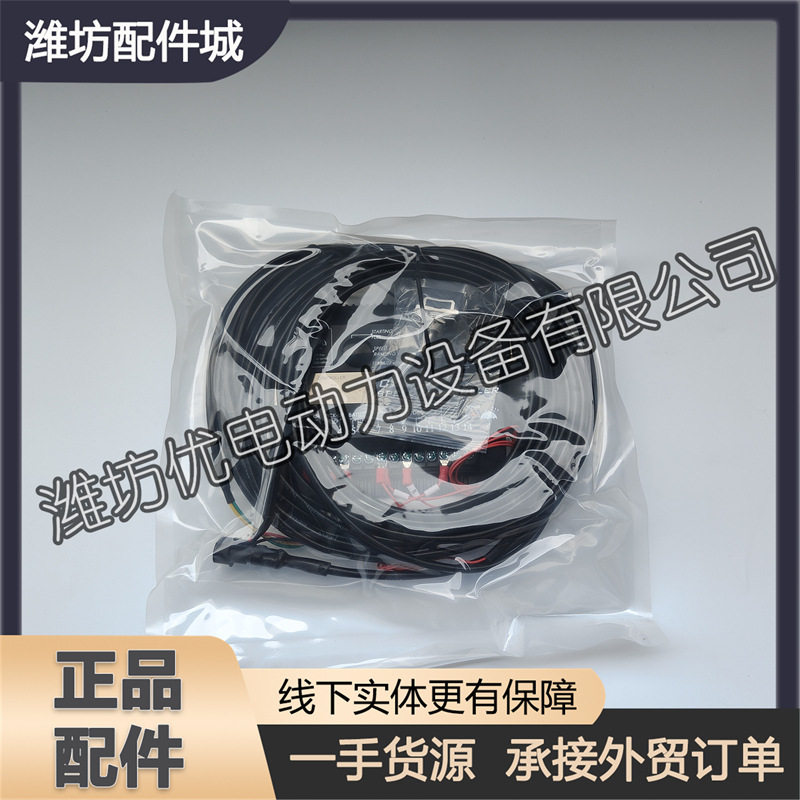 博杜安潍柴发电机组转速控制器