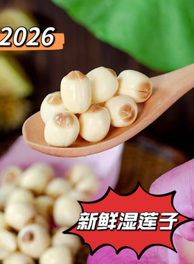 2026年三斤装现摘去皮生鲜湿莲子江西手工白莲1500g