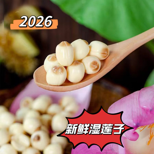 2026年三斤装现摘去皮生鲜湿莲子江西手工白莲1500g