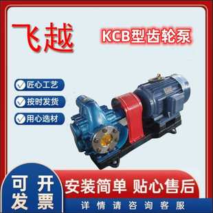h卧式 齿轮油泵 现货销售8m3 kcb135型l铸铁齿轮泵 输油泵 电动卧式