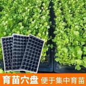 育苗盘穴盘塑f料杯种植神器营养钵蔬菜多肉育种扦插盒农用托盘盆