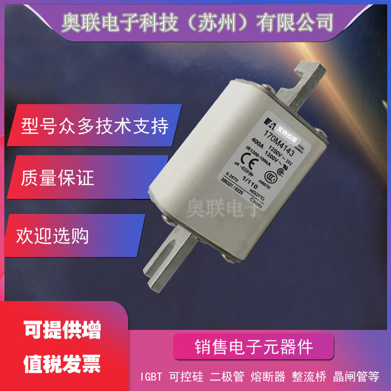 保险丝170M5197 170M5198 170M5199 170M5200巴斯曼熔断器