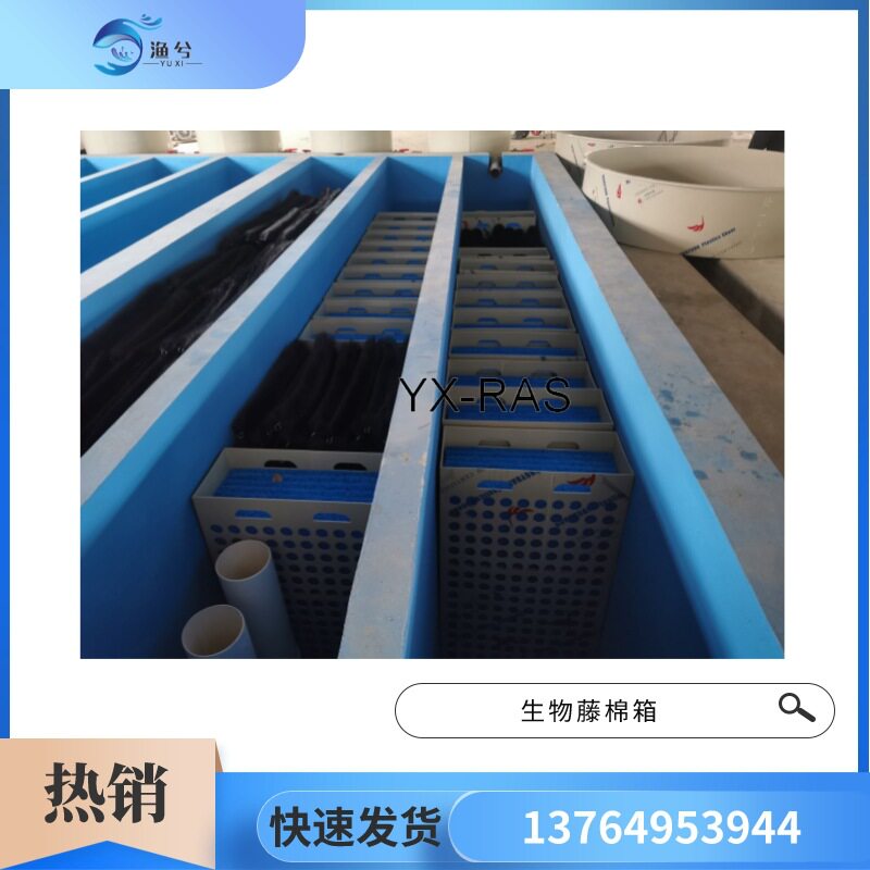 循环水养殖生物过滤藤棉箱PP材质耐用氨氮处理培养硝化菌