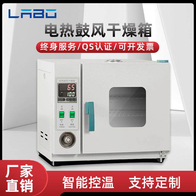 电热鼓风干燥箱高温加热小型工业烤箱恒温烘干机实验室烘箱