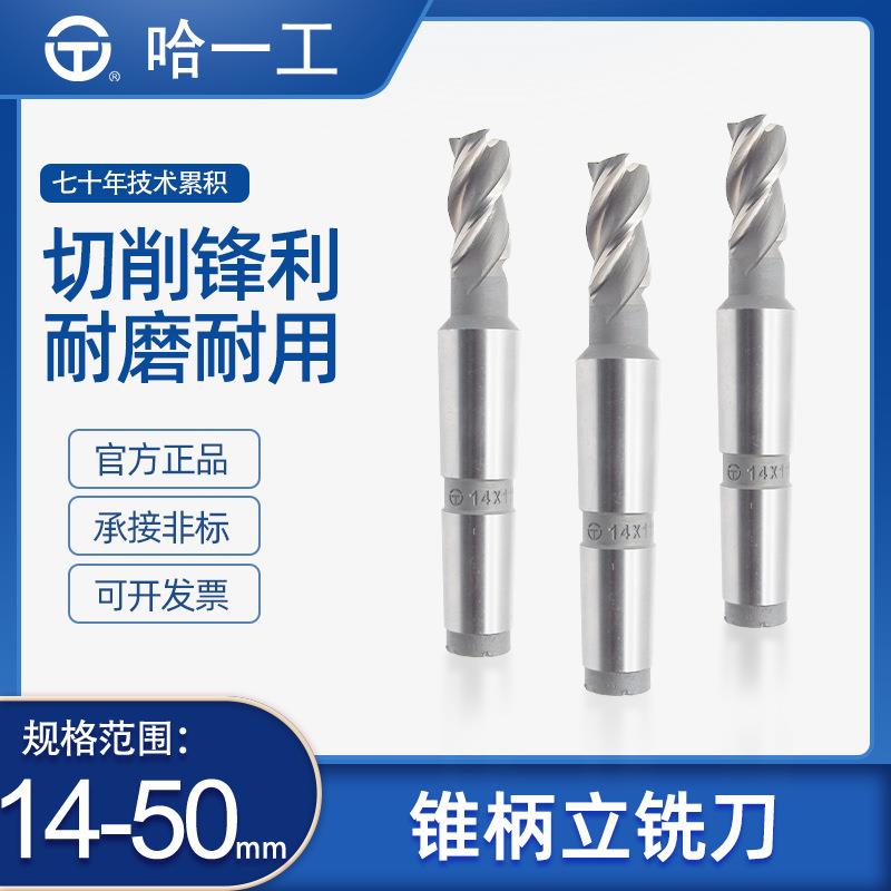 哈一工高速钢锥柄立铣刀粗齿HSS锥柄三刃四刃铣刀14~50mm锥立铣