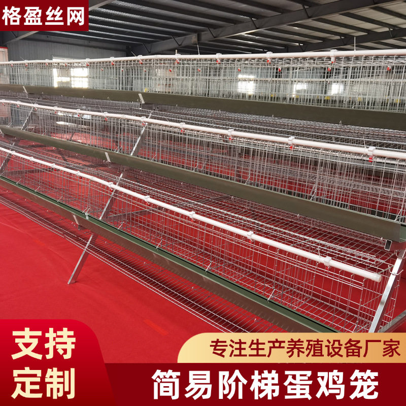 蛋鸡笼养鸡场层叠阶梯式家用养殖笼白食槽绿食槽热镀锌A型蛋鸡笼