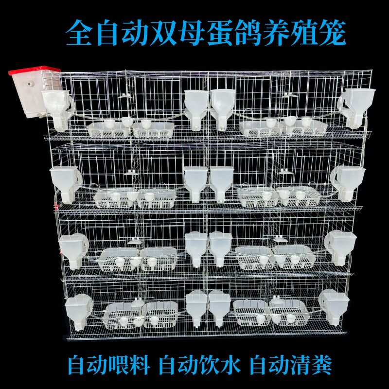 双母蛋鸽笼子母鸽养殖笼自动撞门16笼位带自动配件下蛋鸽子笼