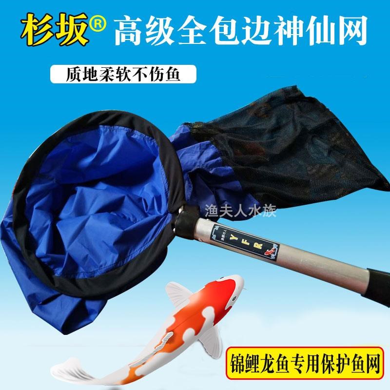 速发锦抄鱼捞神仙捞龙鱼手鲤网 鱼缸捞网不伤布大号网兜鱼网