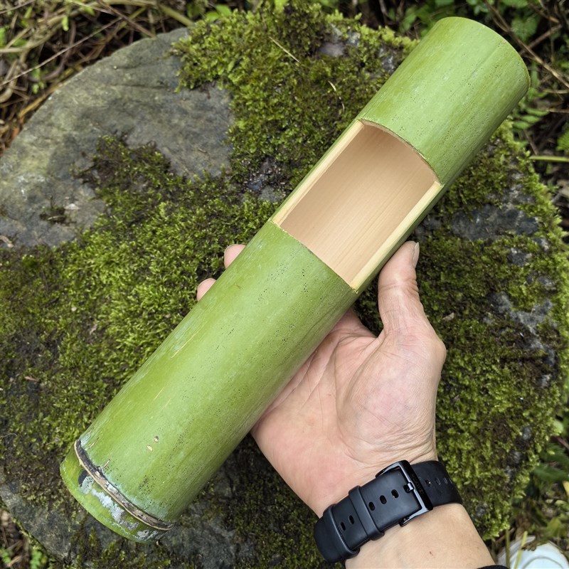 速发新鲜竹筒花器花瓶国风摆件插花花艺环创道具特色新中式绿色竹