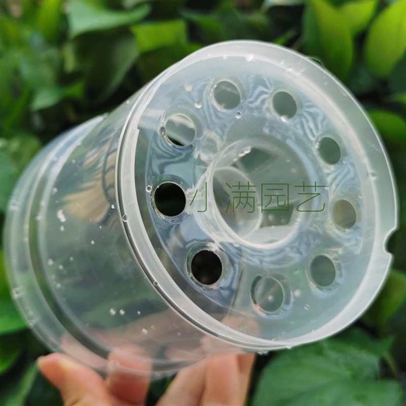 现货速发.5寸透明育苗杯蝴蝶兰控根盆透气塑料硬植杯洋兰石斛沥水