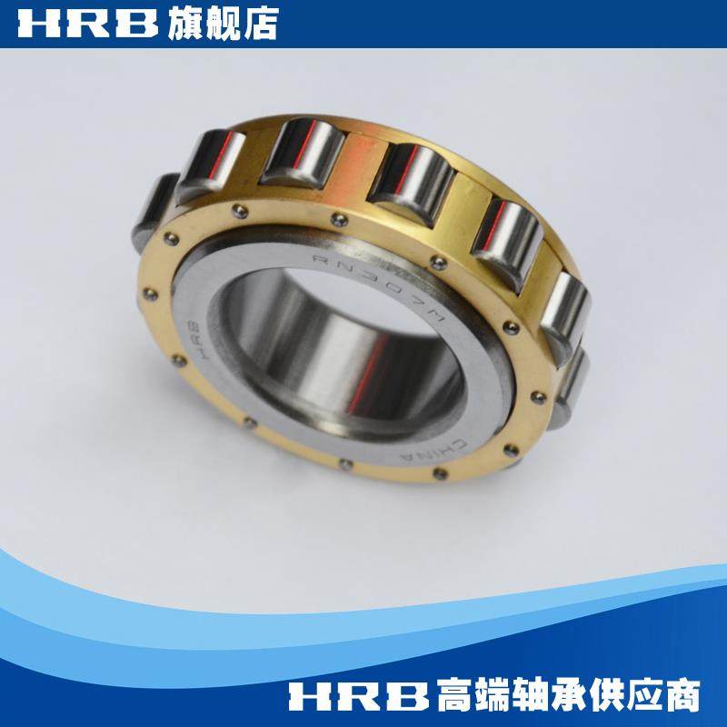 HRB 新型号 RN307 M 摆线针减速 502307H哈尔滨轴承偏心套圆柱滚