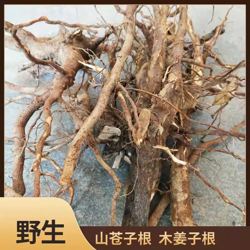 山苍子根福建尤溪野生山苍根 山鸡椒 木姜子炖猪脚汤料去乏力草根