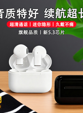2025款新蓝牙耳机入耳无线久戴不痛超长续航电竞运动通话降噪通用