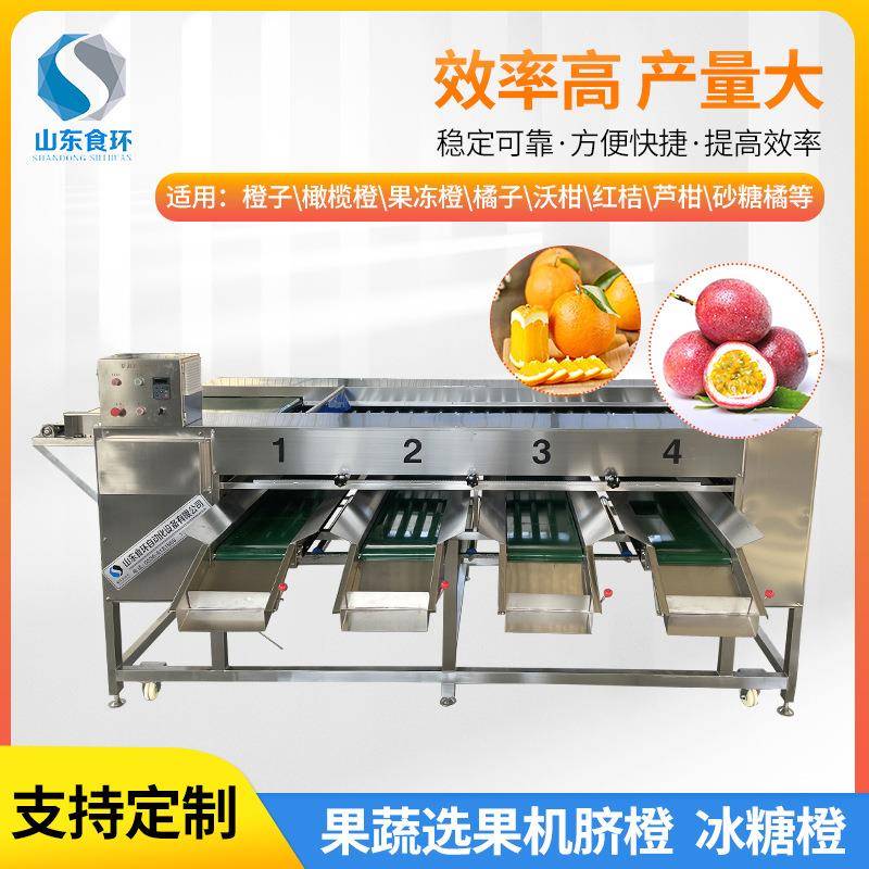 果蔬分拣机土豆田螺芒果火龙果分级机荔枝筛选设备果蔬选果机
