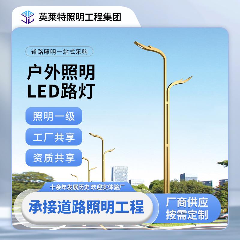LED市电路灯杆双臂喷塑公路小区户外道路广场公园路防水路灯杆子