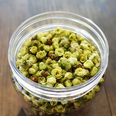 2026新花绿萼梅花苞绿梅花歙县姬公尖农户上丰白梅花蕾黄山特产