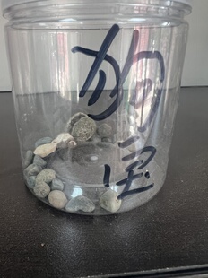 新货狗宝中药材10g包邮 正品狗结石 狗黄金 金蛋子 另售马宝 驴宝