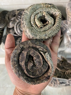 蝮蛇中药材养生土公蛇 七寸子 蝮蛇干非开膛复蛇干500克顺丰包邮