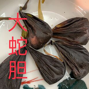 正品眼镜蛇胆中药材另有眼镜蛇胆蛇胆蕲蛇胆泡酒原料