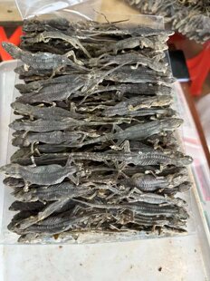 500克顺丰包邮 国产天龙 国产壁虎干 国产守宫 中药材昆虫类大全