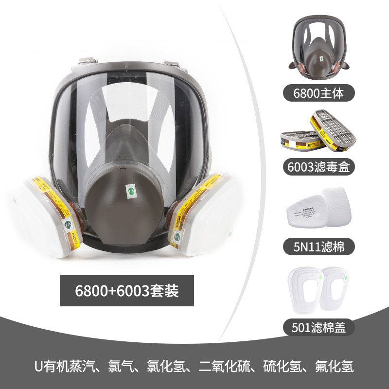 6800防毒e面具全面罩防酸性化工气体工业粉尘异味喷漆专用全面具