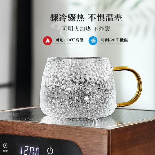 高级感轻奢玻璃杯家用客厅v耐热水杯泡茶杯牛奶杯喝水杯子套装待