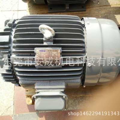 东元电机TEGH160M-4 15HP 11KW 4P AEEFF3 B3 IP55 50HZ