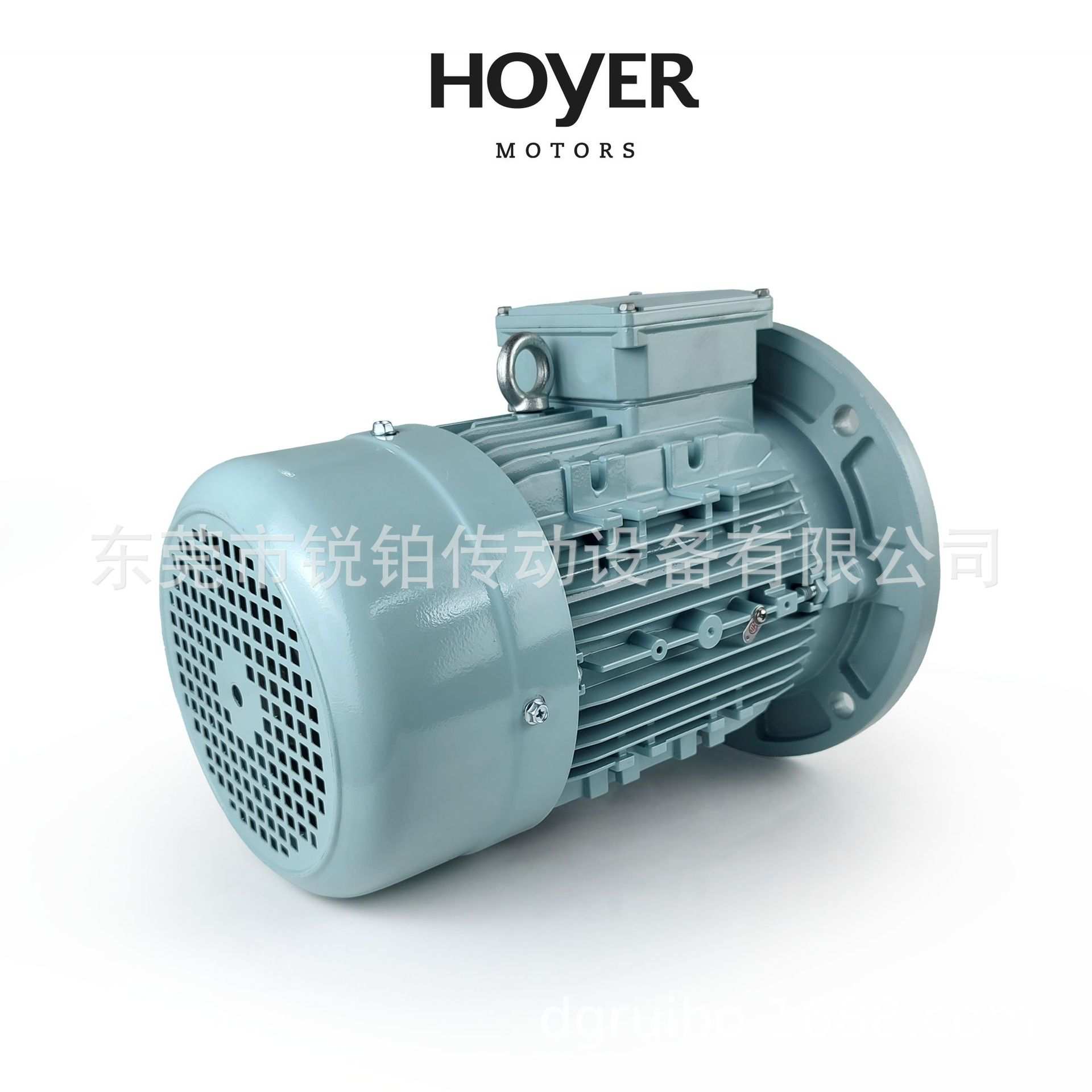 HOYER霍尔电机HMA2 HMC2铝壳铸铁电动机MS Y2E2 HMA3 HMC3船用