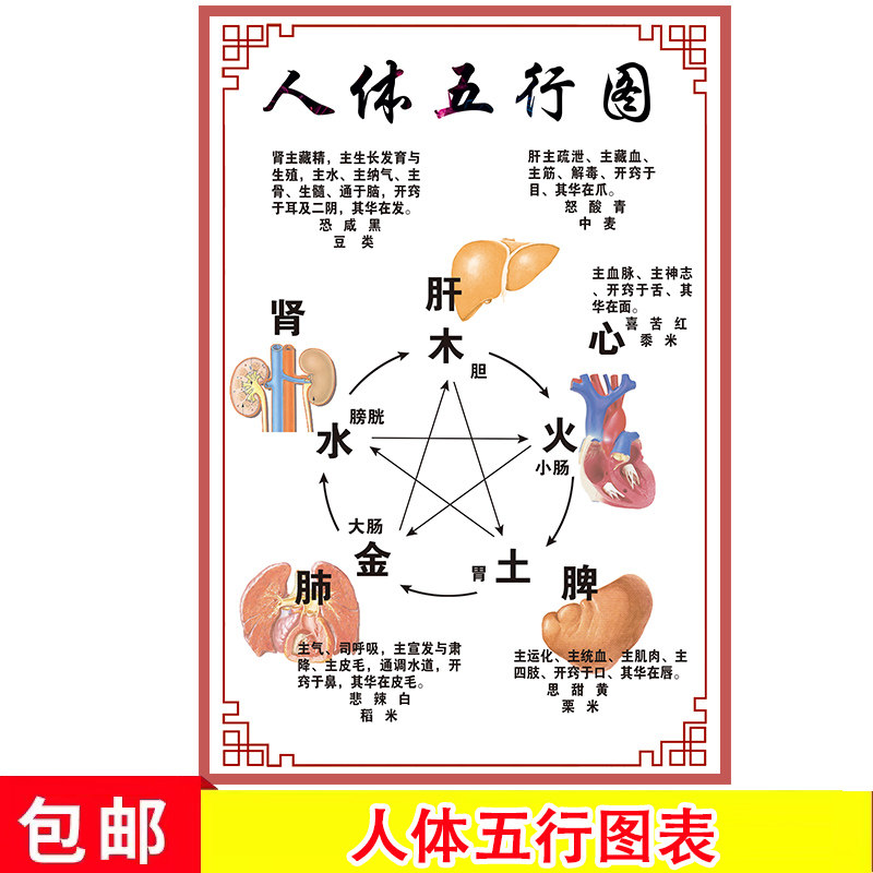 中医养生馆五行图解挂画