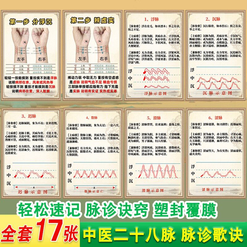 中医二十八脉脉诊歌诀塑