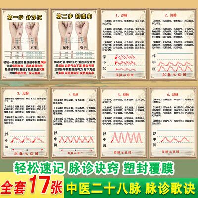中医二十八脉脉诊歌诀塑