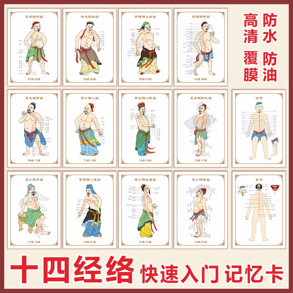 中医人体十四经络学习卡