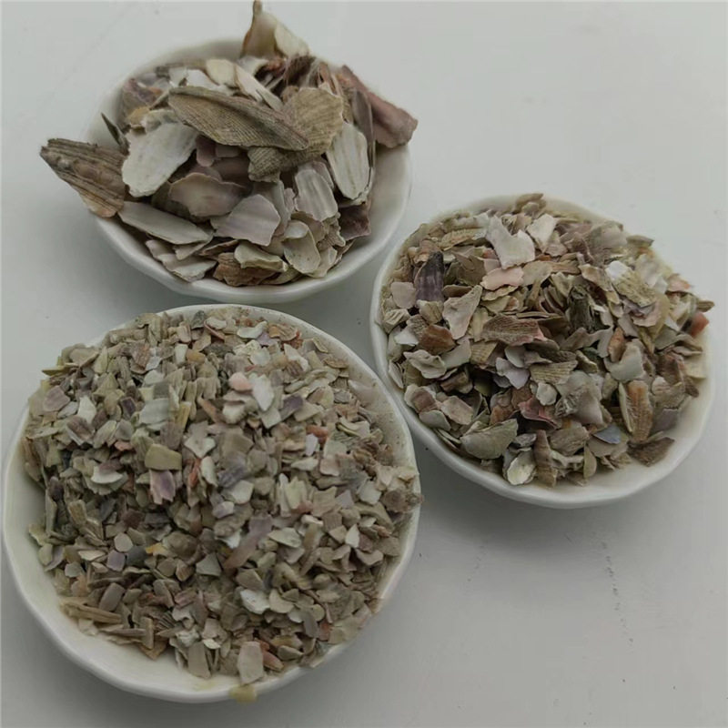 供应打磨贝壳砂贝壳片水族鱼缸装饰用贝壳碎片高钙粉填充矿物石头