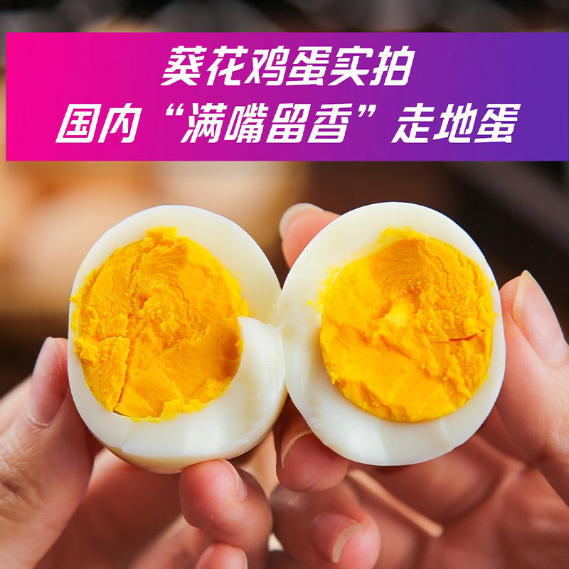 【醇香沙糯 完全不腥】著名广东葵花鸡蛋高品质溏心蛋散养土鸡蛋