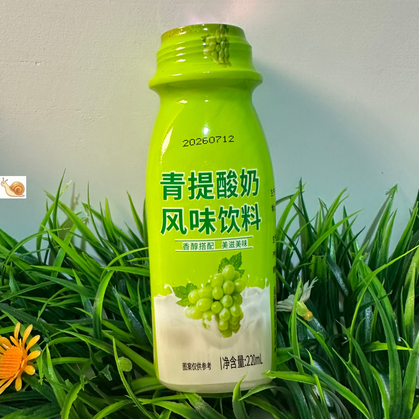 【严选】青提酸奶西梅多多蓝莓奶昔220ml10瓶风味奶昔营养