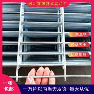 镀锌网片鸡笼狗笼鸽子笼铁丝网围栏网鸽舍地O网狗笼底网小孔养殖