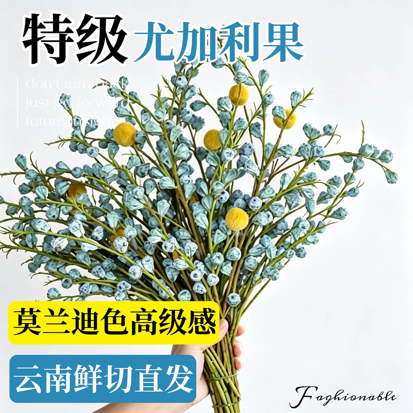 钻石尤加利果鲜花干花干果真花鲜切新果大枝云南基地直发高级配花