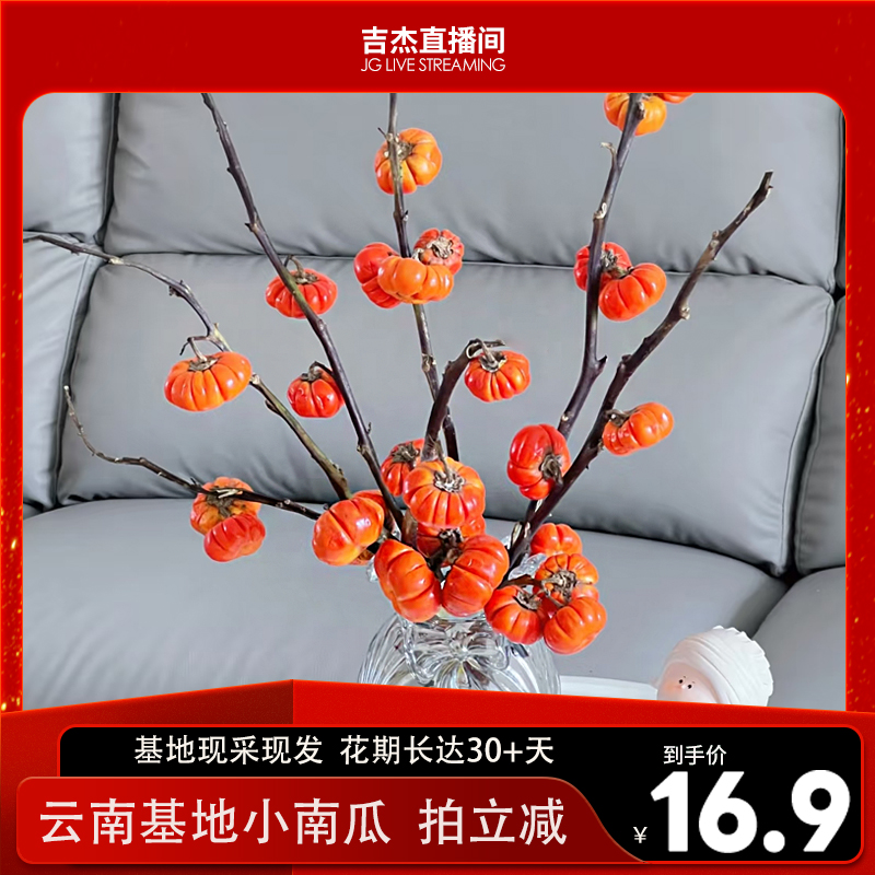 云南昆明基地顺丰直发新鲜小南瓜