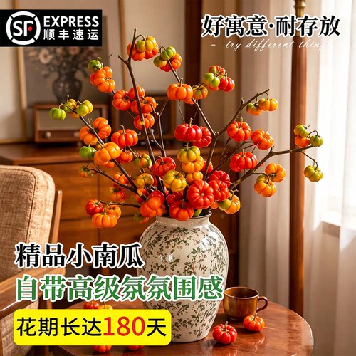 精品小南瓜花卉鲜花水培云南直发