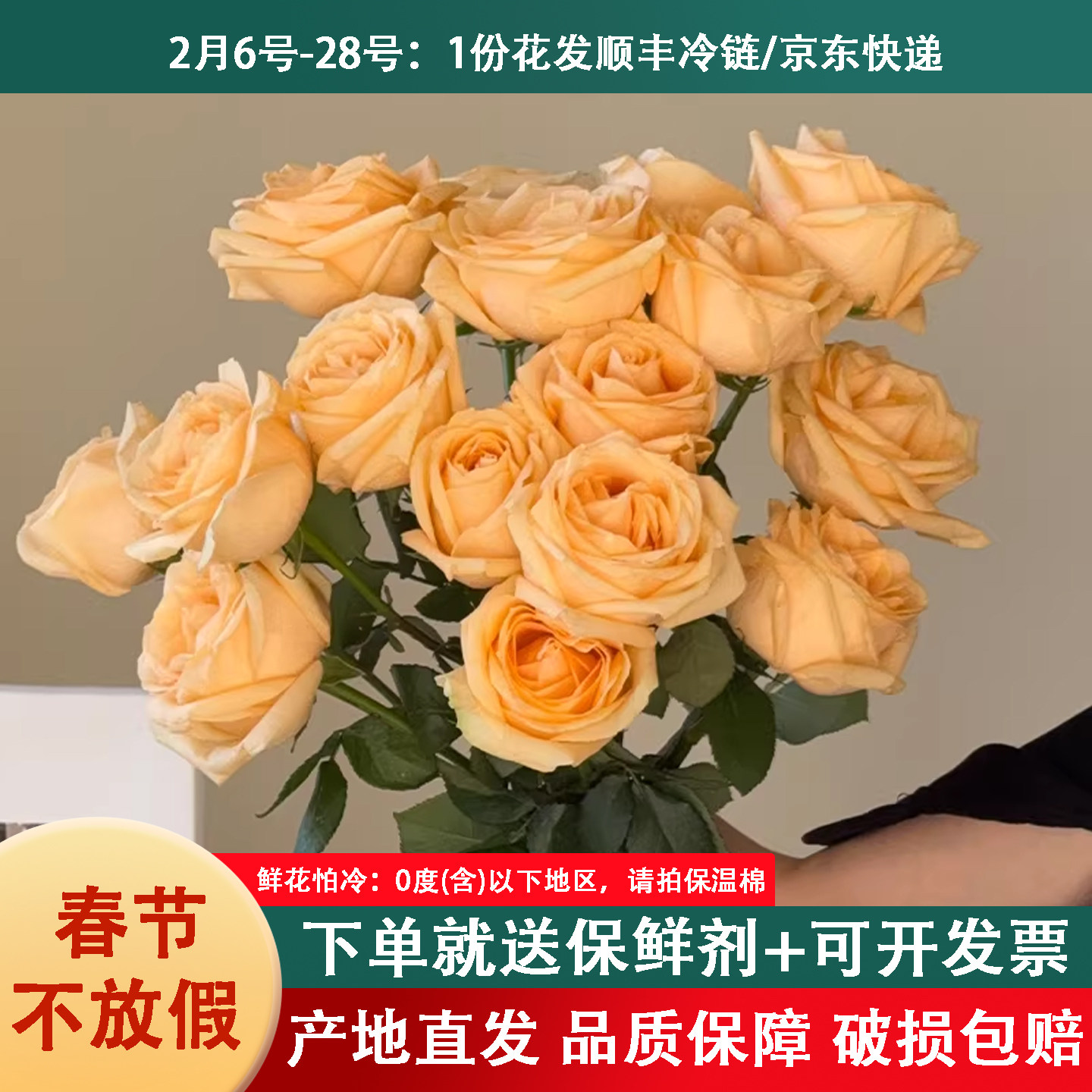 云南基地鲜花玫瑰花束情侣生日鲜花同城配送A级香槟红玫瑰插花