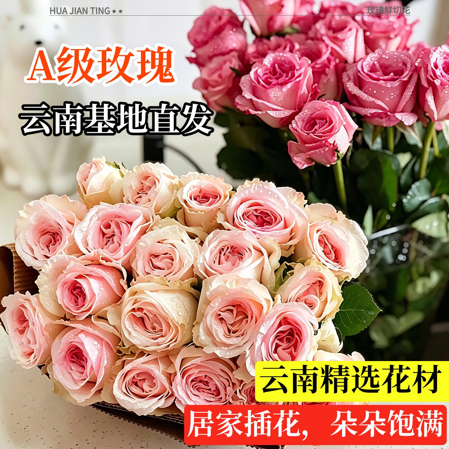 A级玫瑰鲜切花云南基地粉荔枝弗洛伊德曼塔家用插花同城配送精品