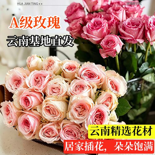 【A等级玫瑰花】高品质单朵大花